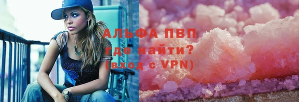 гашиш Богданович