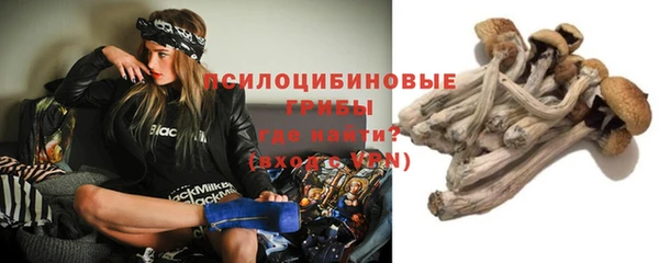 гашиш Богданович