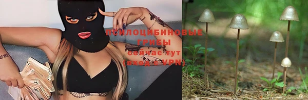 таблы Богородицк