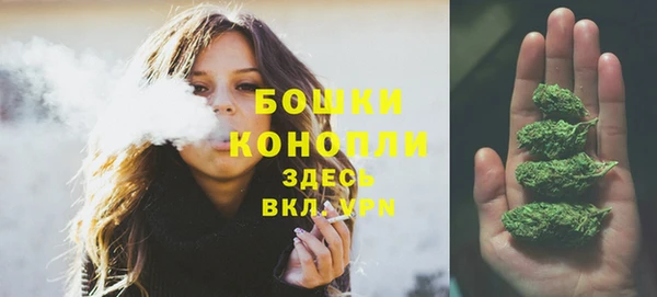 таблы Богородицк