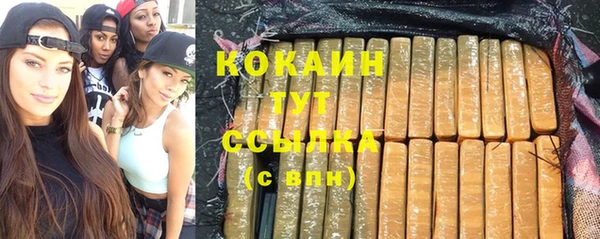 гашиш Богданович