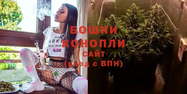 таблы Богородицк