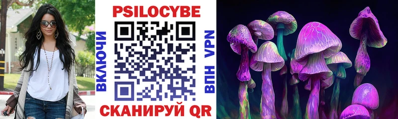 Купить где  Верея  Галлюциногенные грибы Psilocybe 